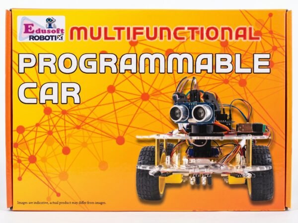 Multifunctional Programmable Car